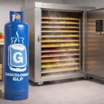 cilindro de 100 libras para horno de deshidratar fruta